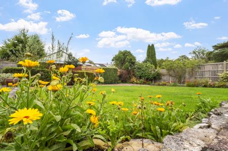 Gorgeous Garden