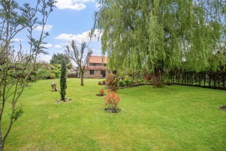 Delightful Garden