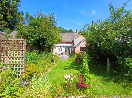 Lovely Garden