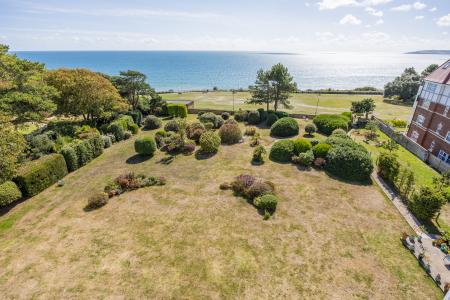 Communual Gardens