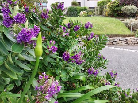 Photo 15