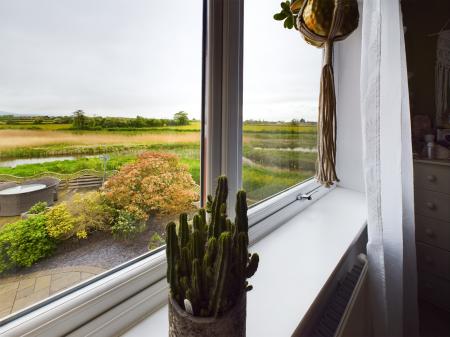 View From Bed 2