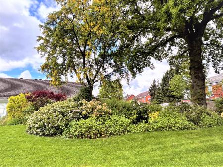 Communal Garden