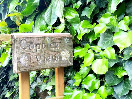 Coppice View