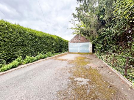 Driveway & Garden