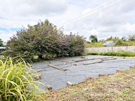 Vegetable Patch