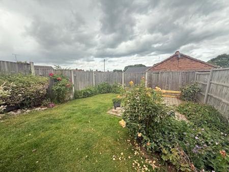 New garden 2