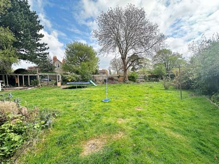 Garden 1