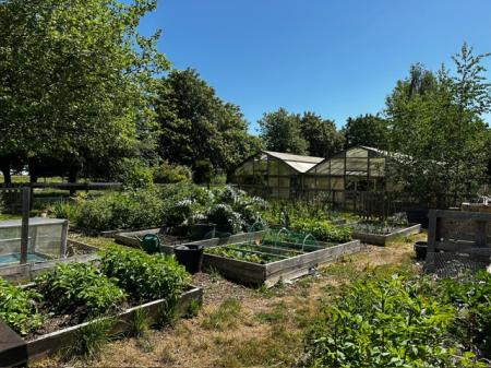 Veg plot