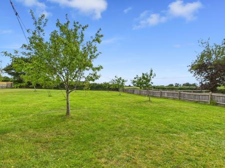 Orchard