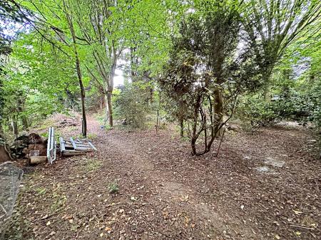 Woodland