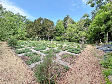 Garden 1