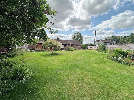 Garden 3
