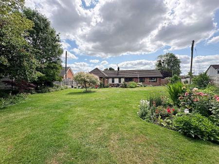 Garden 2