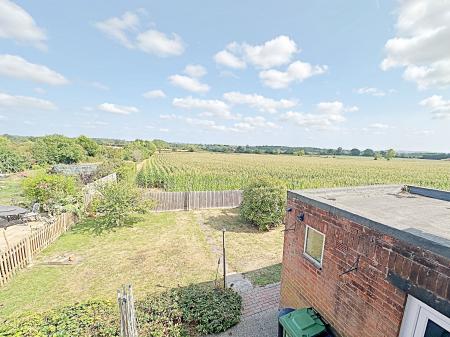 Garden and view