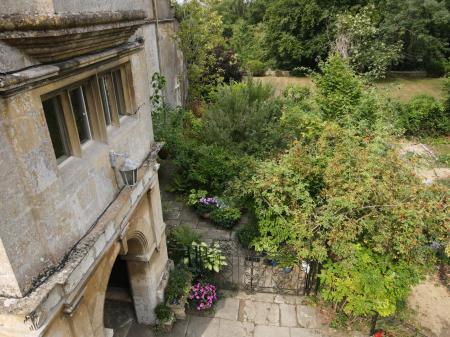 Aerial Garden 3