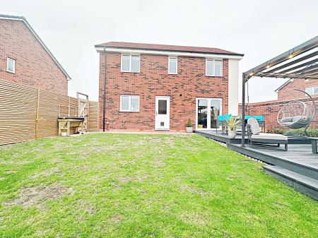 Rear Aspect