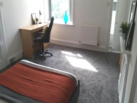 PHOTO-2018-08-21-15-02-17 (18)