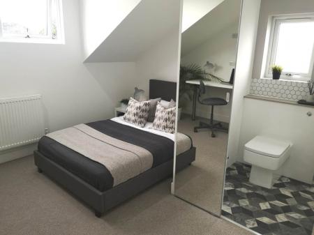 PHOTO-2019-11-10-20-06-11 (1)