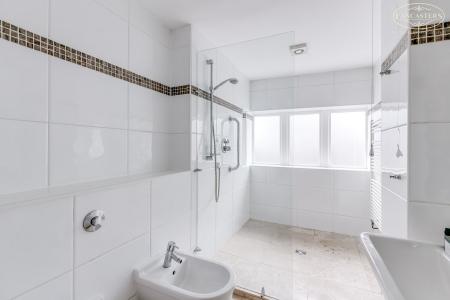 Ground Floor Shower