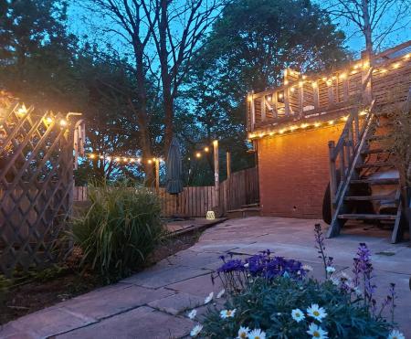 Evening garden