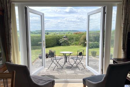 view