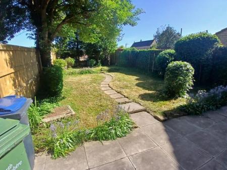 garden 3.jpg