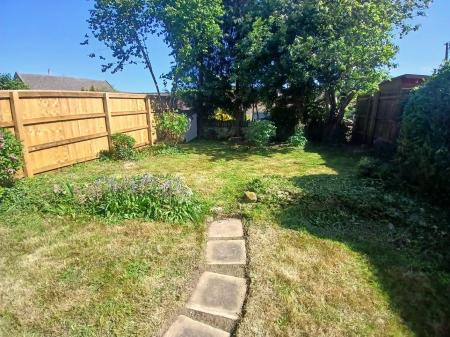 garden 4.jpg