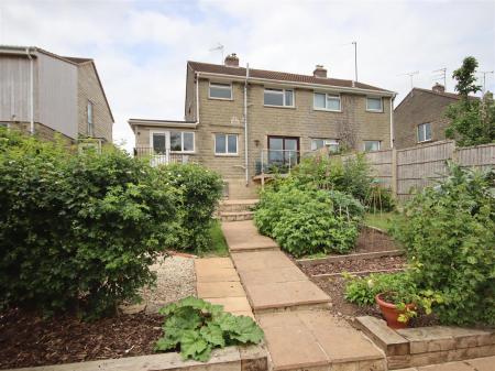 NEW GARDEN 3.JPG