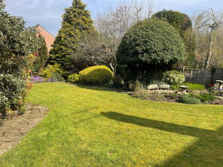 garden 4.jpg