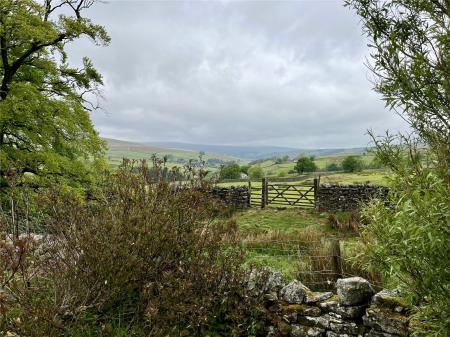 Picture No. 36