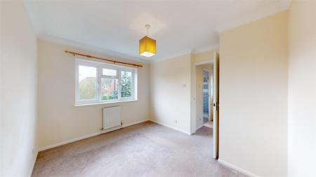 Campion-Grove-Stamford-04132024_154614.jpg