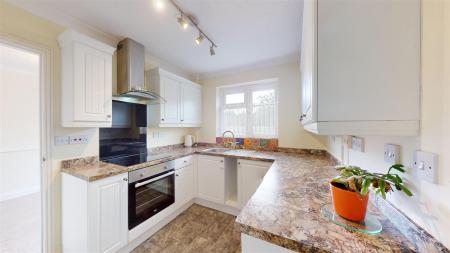 Campion-Grove-Stamford-04132024_153919.jpg