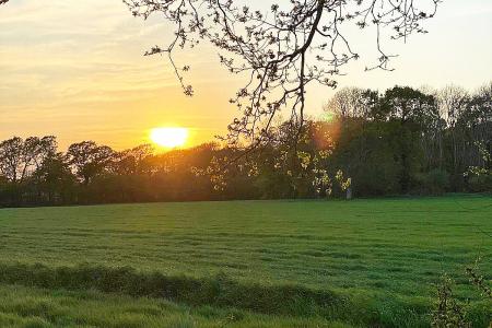 Countryside Walks