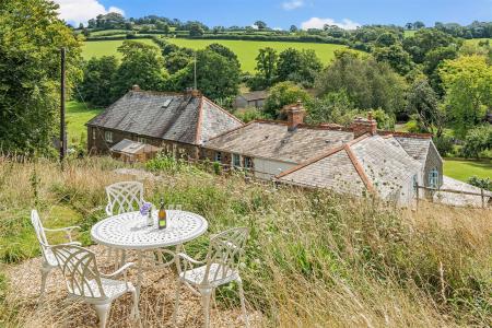 Ludd House Wilding Garden.jpg