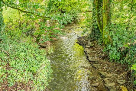 Ludd House Woodland Stream.jpg