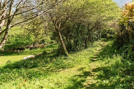 TRH Woodland Walk.jpg