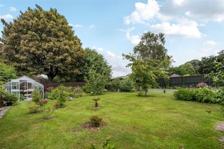Trehill Garden.jpg