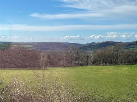 Maple Grove Front View from bed 1 v.jpg