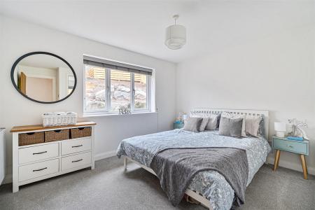 New Meadow Bed 1.jpg