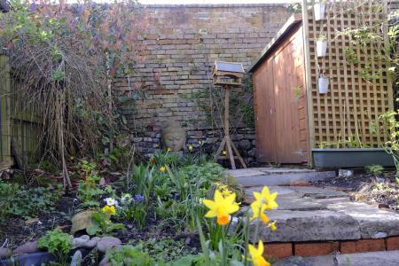 Rear garden with bike shed.jpg