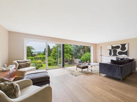 Open Plan Living Dining Kitchen