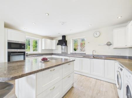 Kitchen / Living Area