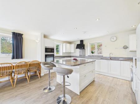 Kitchen / Living Area