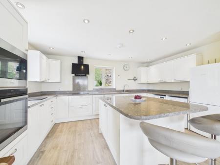 Kitchen / Living Area