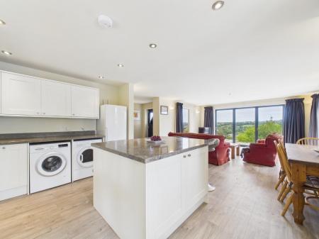 Kitchen / Living Area