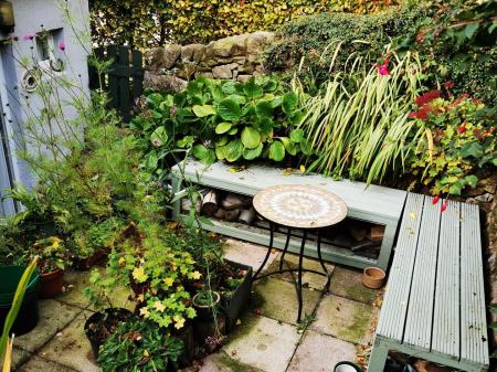 IMG_20251030_104708 copy.jpg