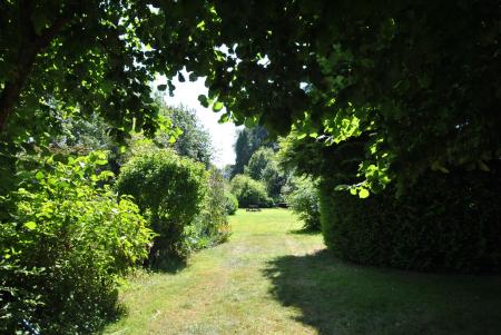 Communal Garden