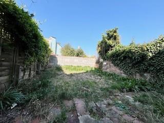 Garden 2.jpg