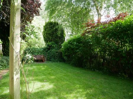 Garden 4